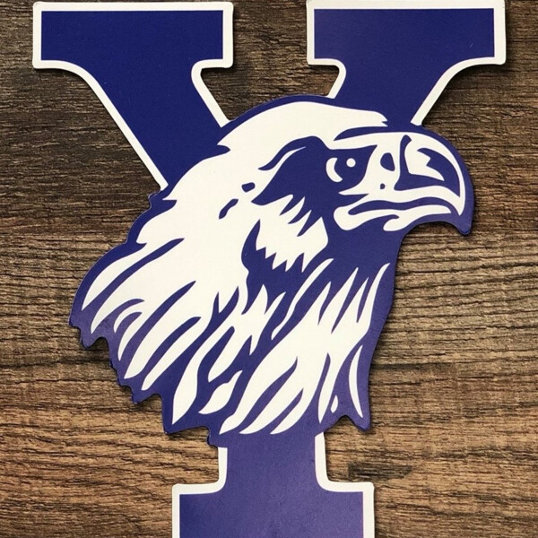 Y-Falcon Magnet Thumbnail